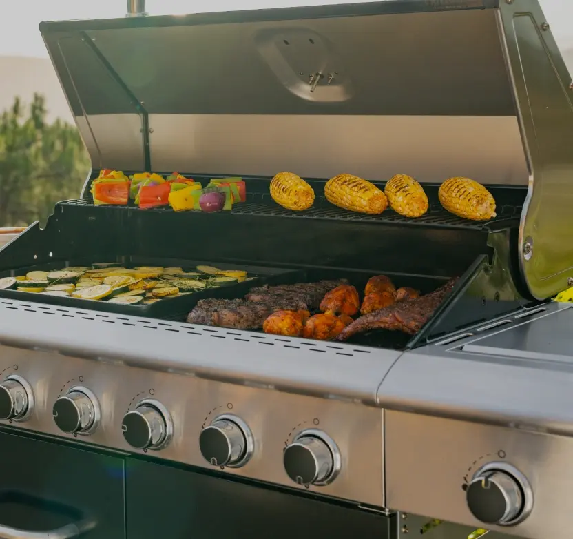 Master the Art of Grilling
